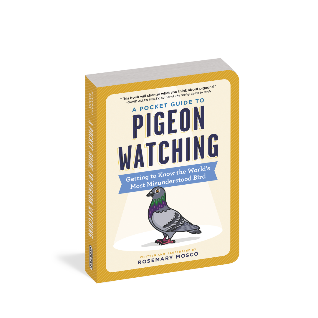 SIGNED! A Pocket Guide to Pigeon Watching: Getting to Know the World's Most Misunderstood Bird
