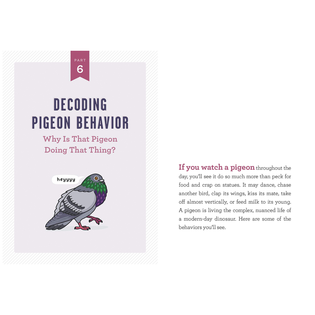 SIGNED! A Pocket Guide to Pigeon Watching: Getting to Know the World's Most Misunderstood Bird