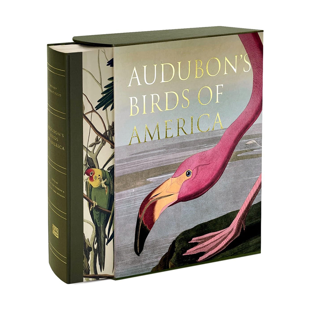 Audubon's Birds of America: Baby Elephant Folio