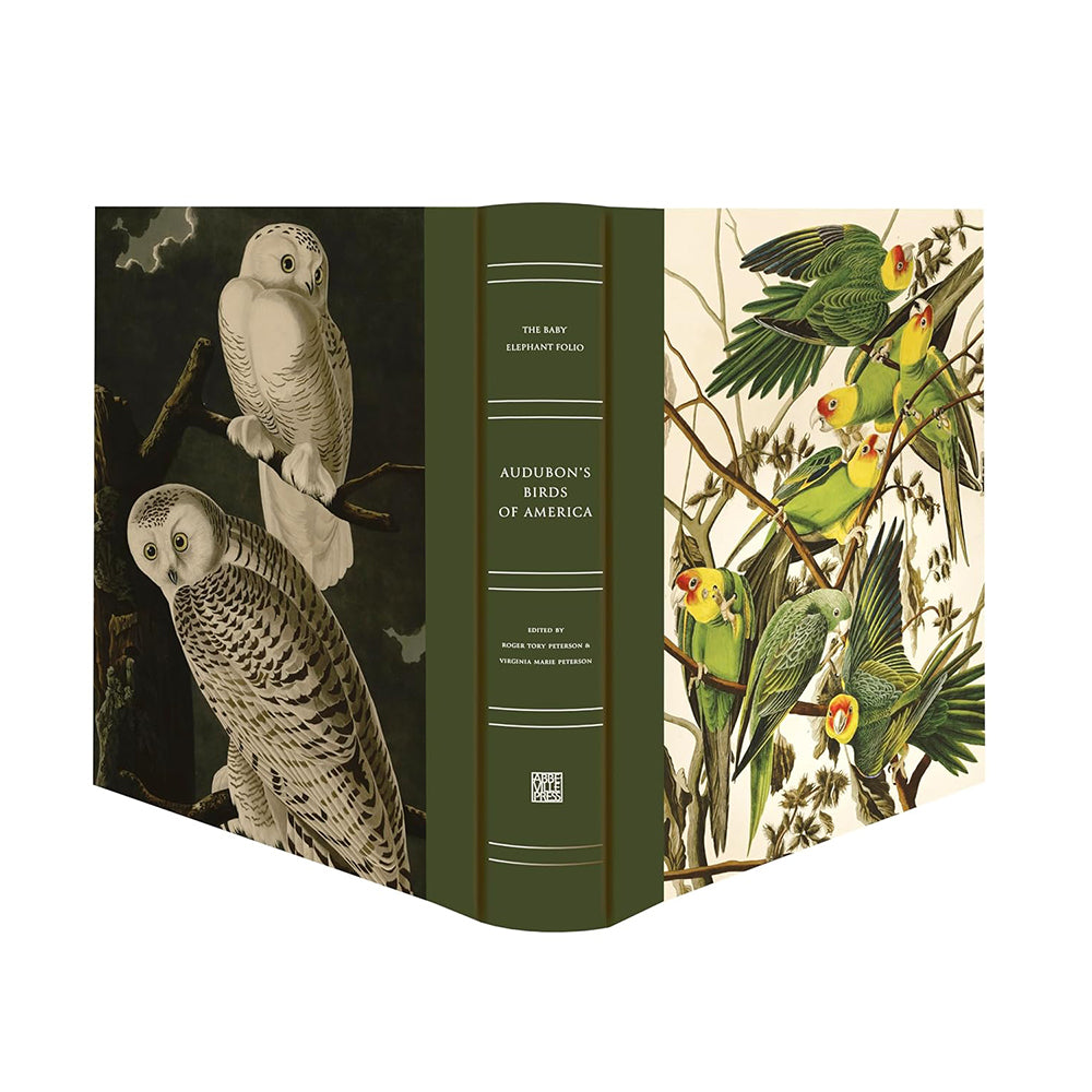 Audubon's Birds of America: Baby Elephant Folio