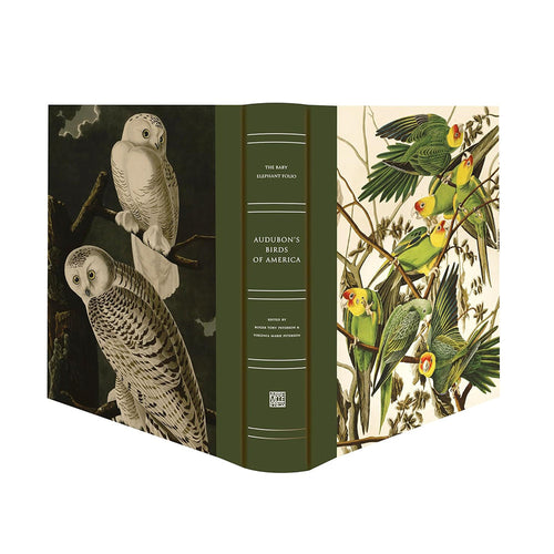 Audubon's Birds of America: Baby Elephant Folio