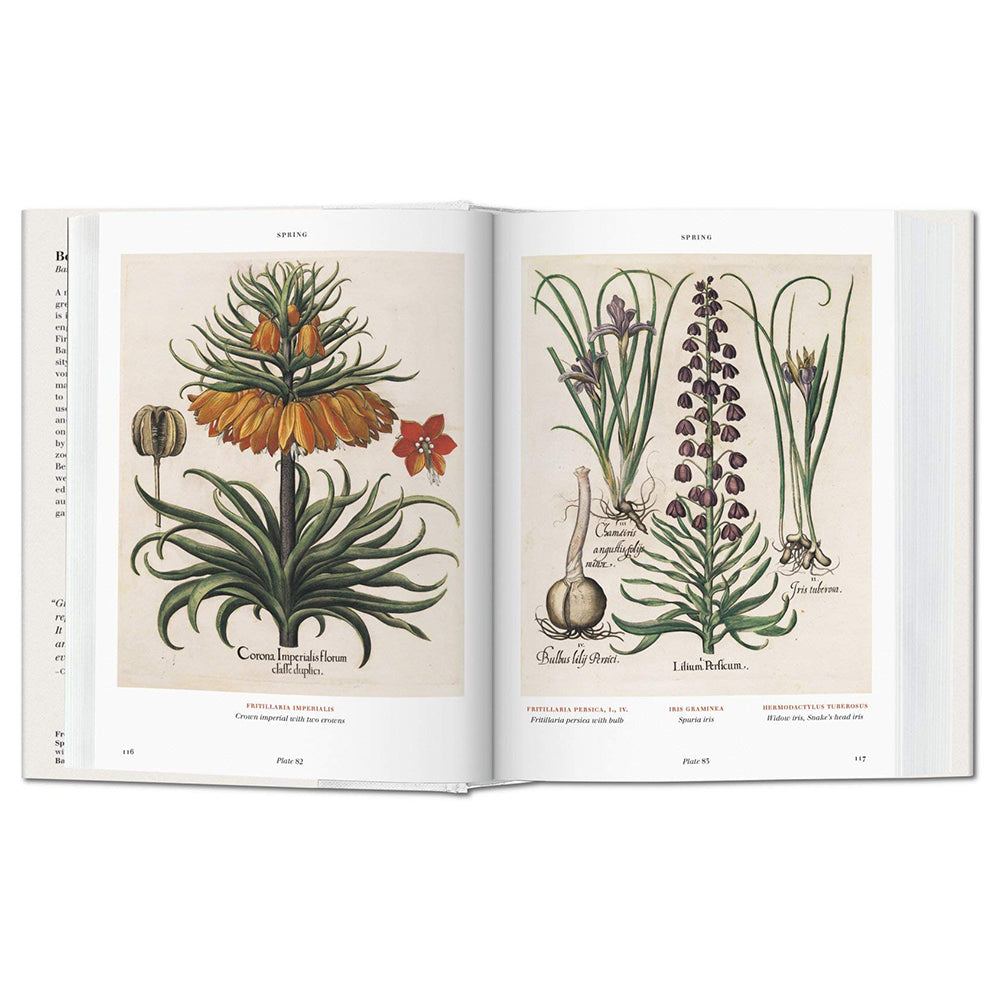 Florilegium: The Book of Plants